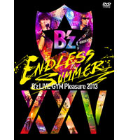 ENDLESS SUMMER XXV BEST 【完全盤】